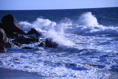 DSC_0582 (Large).JPG